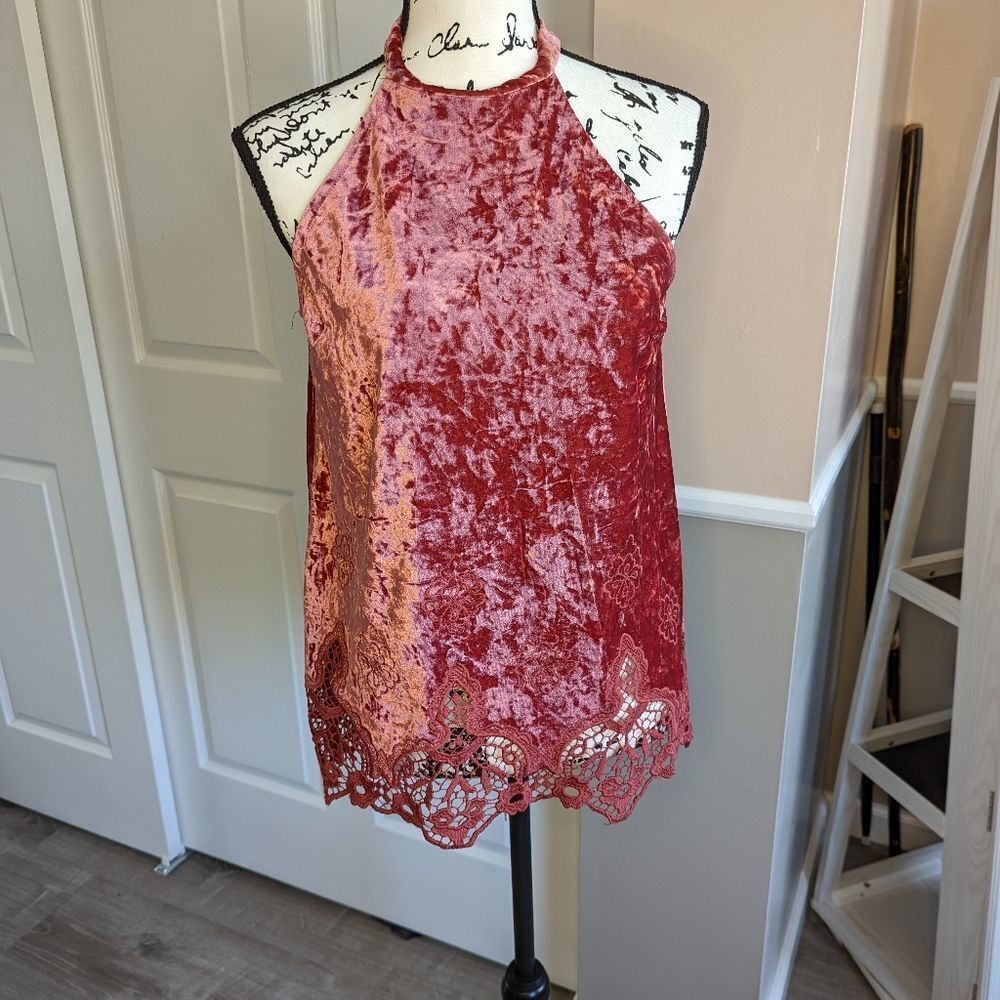 Altard State velvet top
